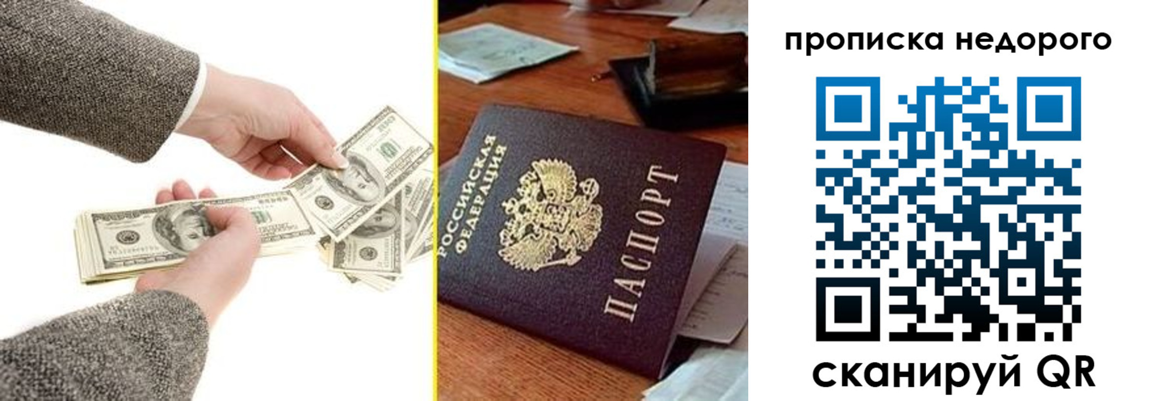 прописка для работы в Рошале